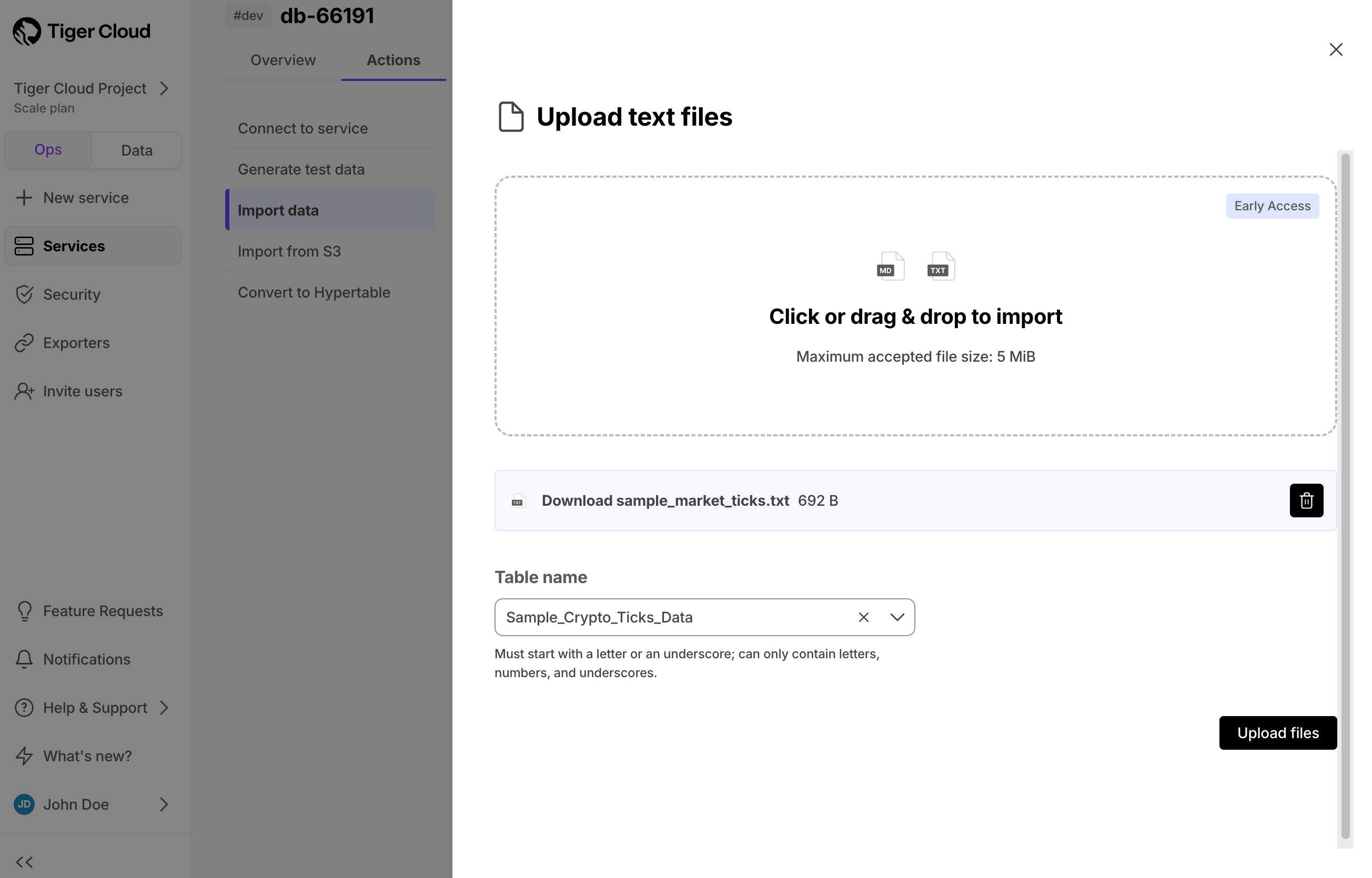 Configure the text file import in Tiger Cloud