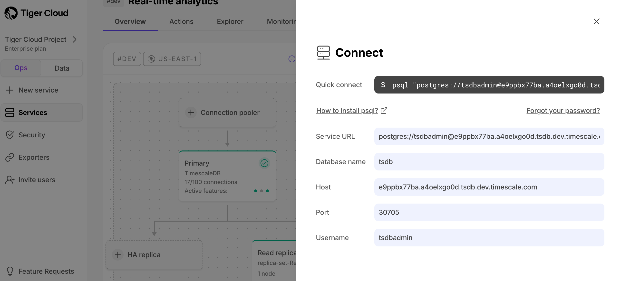 Tiger Cloud service connection details
