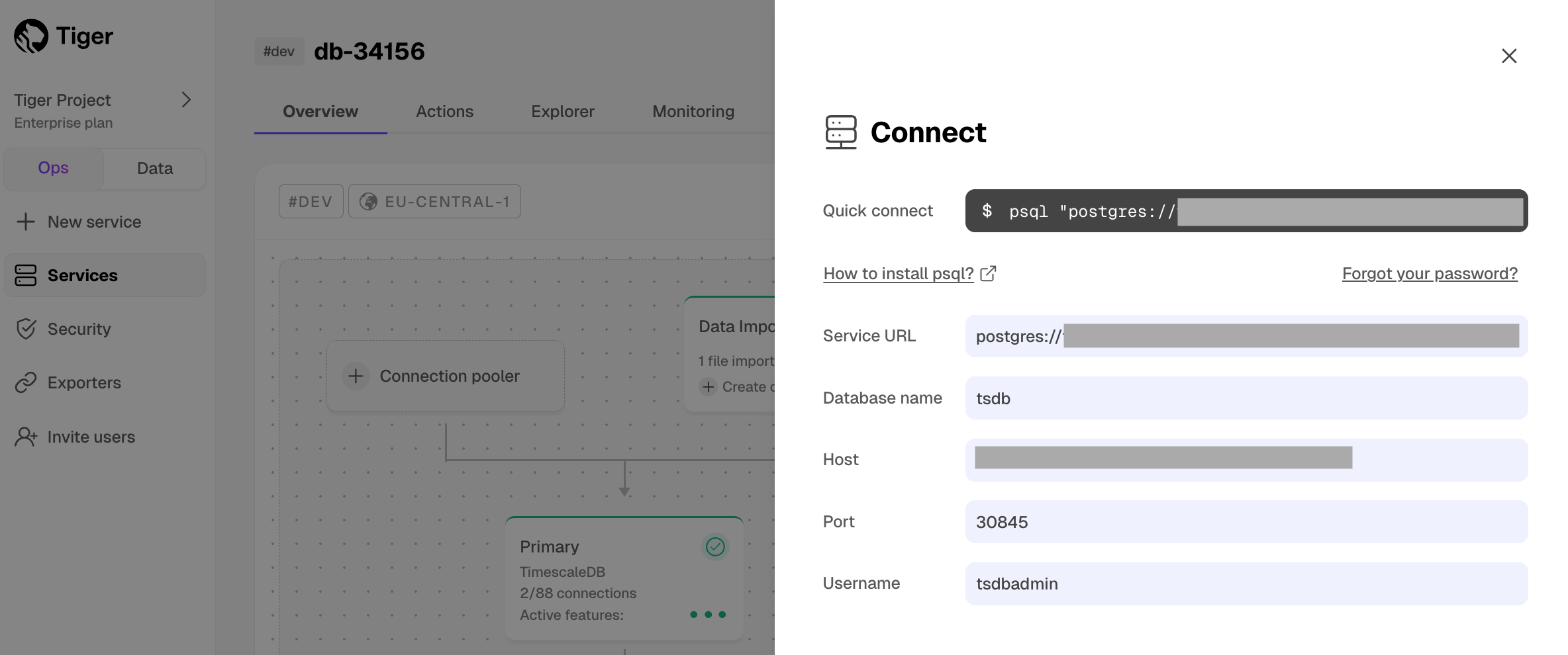 SERVICE_LONG connection details